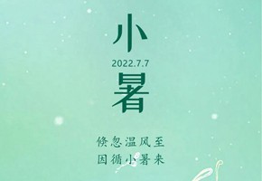 嵐泊灣丨蟬鳴聲聲小暑至，閑坐瓜田等風(fēng)來